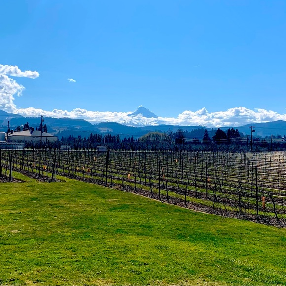 Meet your Posher, Daniel - Picture 1 of 1